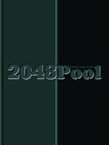 2048 Pool with Dido Angel