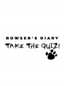 Bowser's Diary: Take the Quiz!