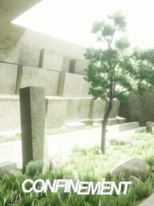 Confinement