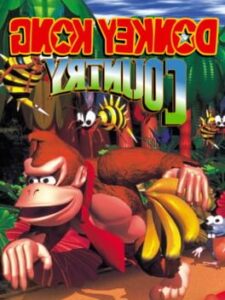 Donkey Kong Country Mirrored