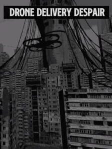 Drone Delivery Despair