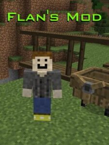 Flan's Mod