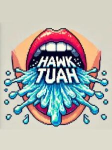 Hawk Tuah