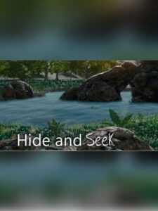 Hide and Seek