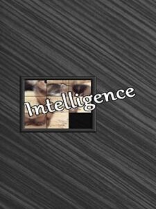 Intelligence