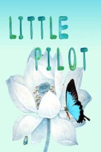 Little Pilot