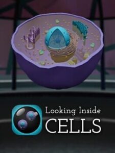 Looking Inside Cells