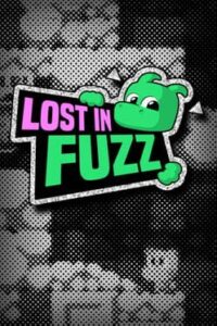 Lost in Fuzz