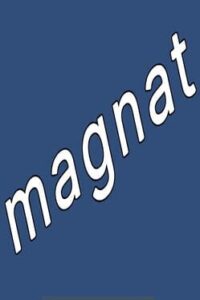 Magnat