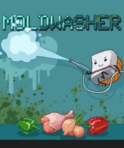 Moldwasher