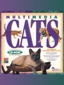Multimedia Cats