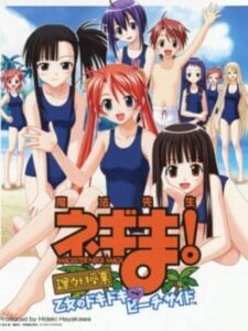Negima! Magister Negi Magi: Kagai Jugyou - Otome no Doki-doki Beachside