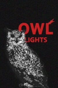Owl Lights