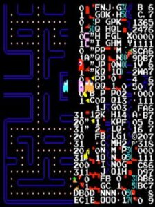 Pac-Man 256