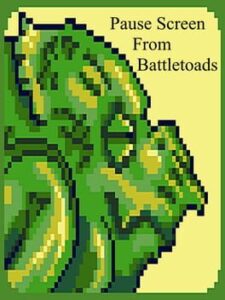 Pause Screen From Battletoads