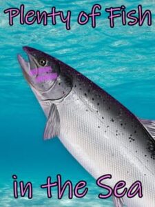 Plenty of Fish in the Sea