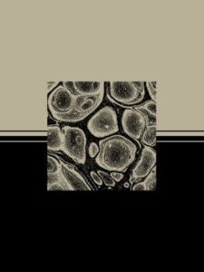 Portrait on Imagined Horizon