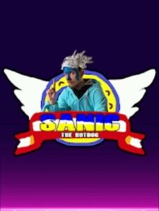 Sanic the Hawtdawg: Da Movie - Da Game 2.1: Electric Boogaloo 2.2 Version 4 - The Squeakquel: VHS Edition - Directors Cut: Special Edition - The Musical & Knackles