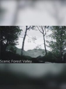 Scenic Forest Valley