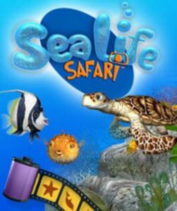 Sea Life Safari