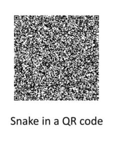 SnakeQR