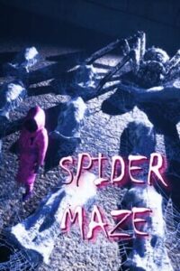 Spider Maze
