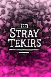 Stray Tekirs