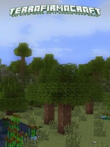 TerraFirmaCraft