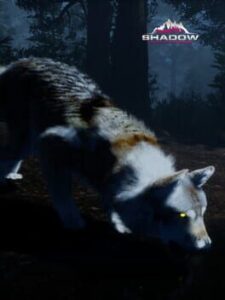 Untamed Kingdom