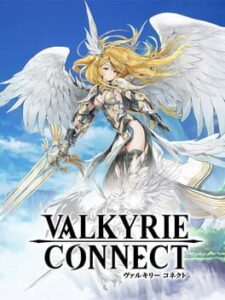 Valkyrie Connect