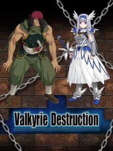 Valkyrie Destruction