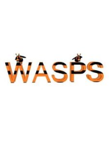 Wasps