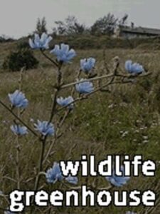 Wildlife Greenhouse