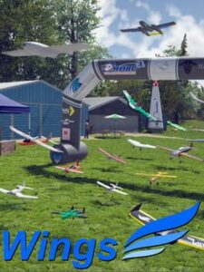 Wings - sim